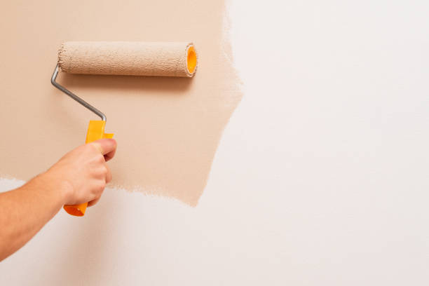 Repair in the house. A man paints the walls with a roller in beige. Concept with copy space for text